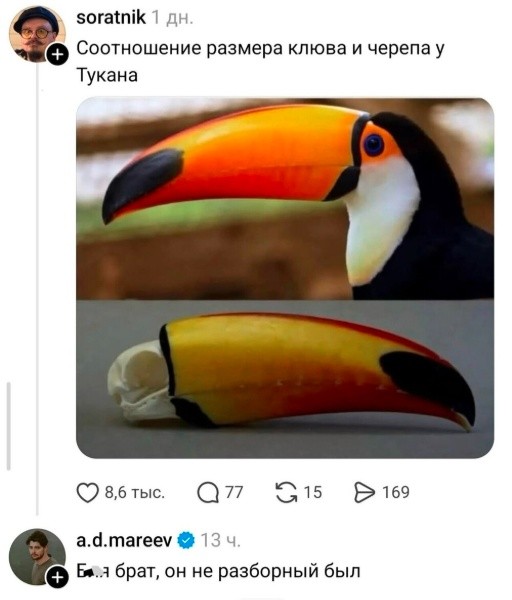 Так себе картинки 14.09.26