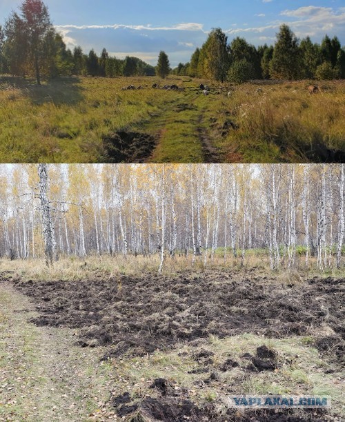 Запасся свининой