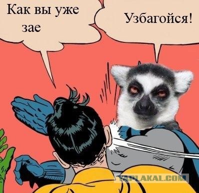 Узбагоился ! ^^