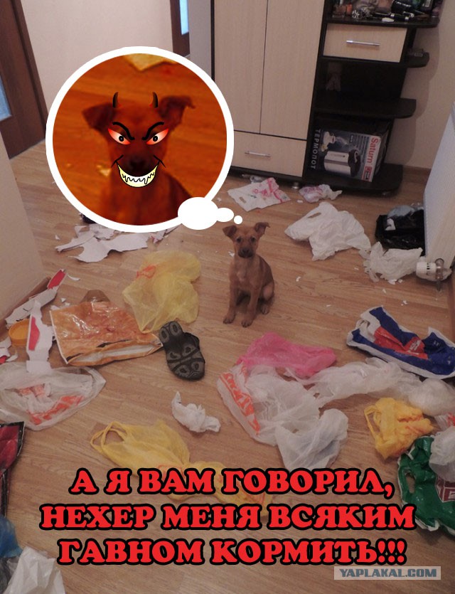 Я не видел, кто это сделал...