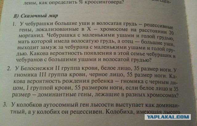 Домашняя работа