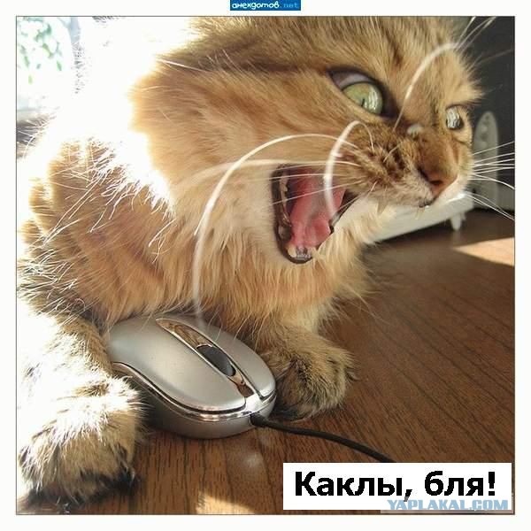 Упавшего на инаугурации Порошенко солдата