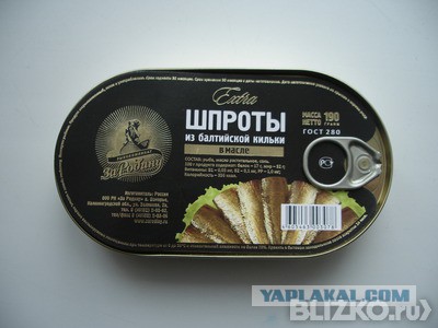 Тяжелый труд за 300 евро. Репортж с латвийского