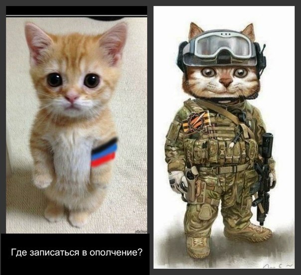 Война не повод для смеха, но....