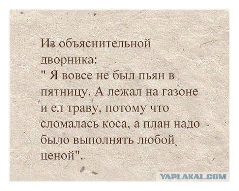 Смешные комментарии из социальных сетей 15.11.14