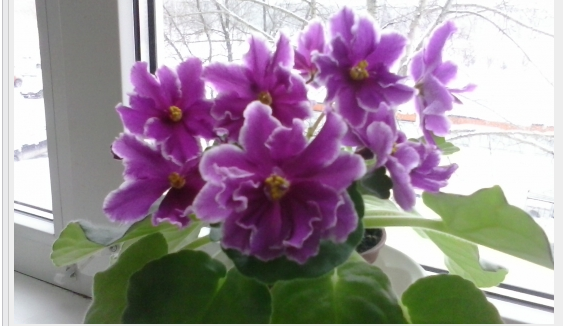 7 причин, почему женщины вообще не умеют