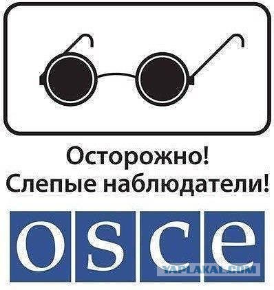 Политические карикатуры
