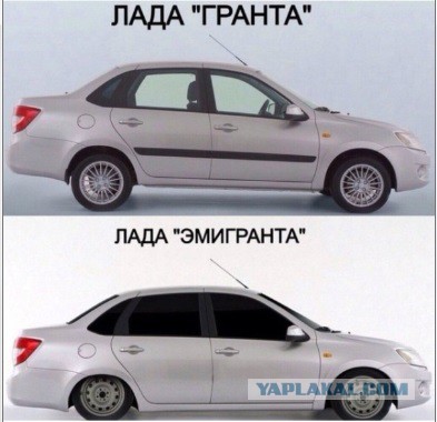 Забавные картинки из Сети