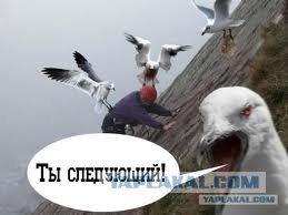 Неожиданная встреча