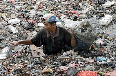Серия фотографий страдания Земли
