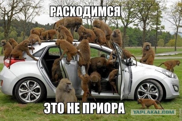 Смешные картинки №...дцать