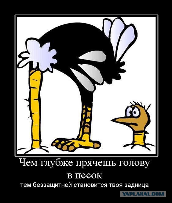 Минутка черного юмора на ЯПе