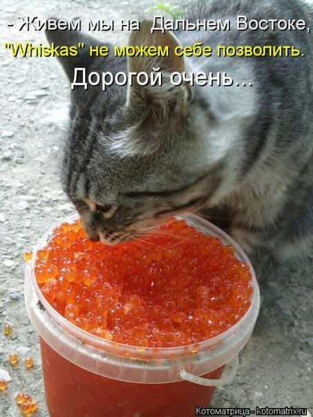 Картинки на пятницу