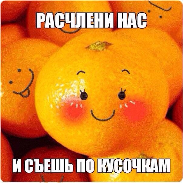 Картинки + гифки.