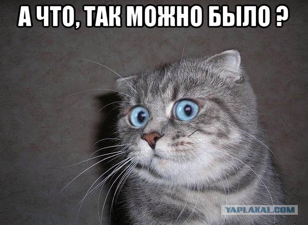 У меня грустные новости для соЯПовца. Слава Новиков тут есть?