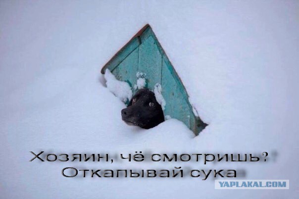 Подборка картинок 02.03.16