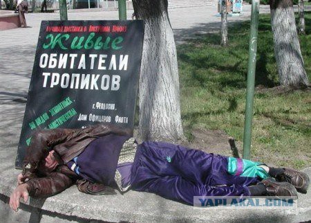 Скамейки Убийцы!