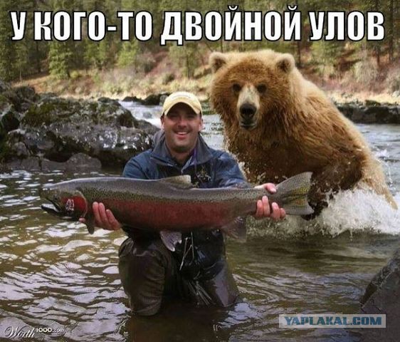 Неприятности разные, подборка. ч.2