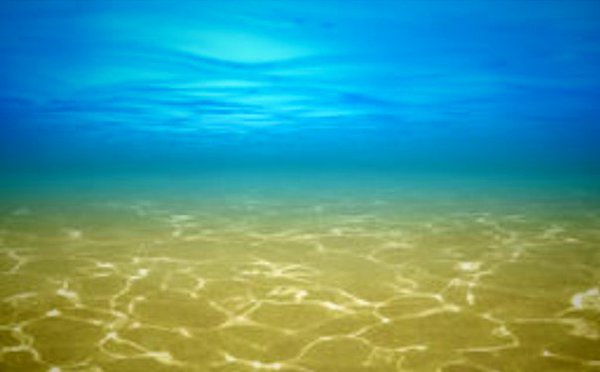 Немного политических карикатур