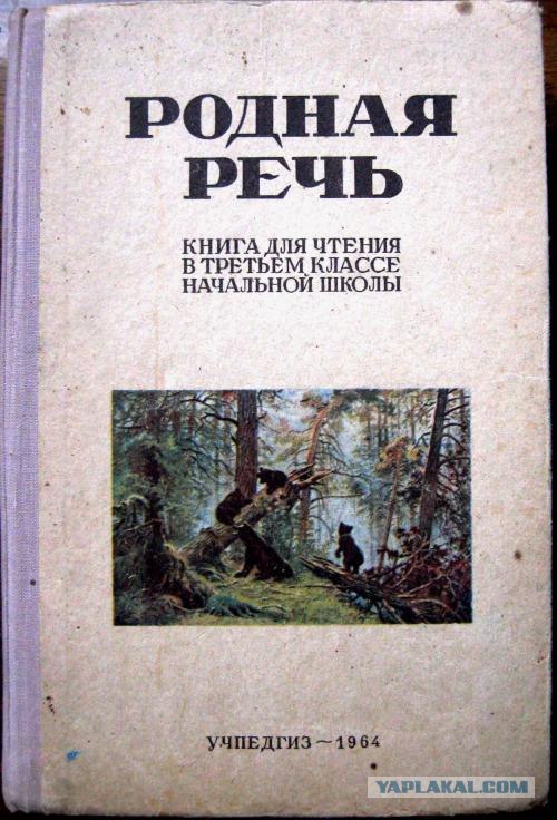 Метеорит в Челябинске, взрыв, самолет, ракета, НЛО или что?