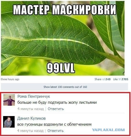 Комментарии, подписи, текстовые приколы