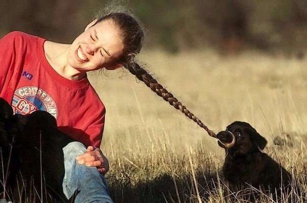 Ассорти картинок из сети