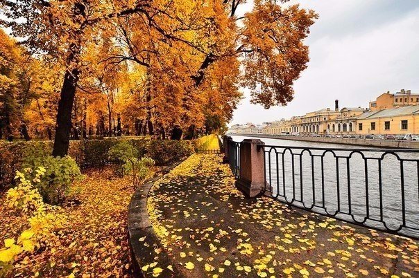 Картинки для отдыха глаз