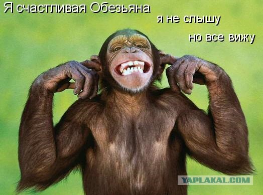 В Белоруссии создали небесную сотню и готовят майдан
