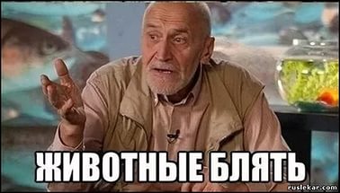 Топ-11: Шокирующие места, где людей застали врасплох за занятием сексом