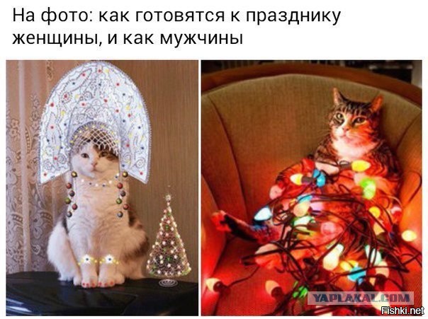 Подсмотрено на просторах