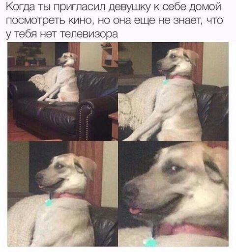 Подборка интересных и веселых картинок