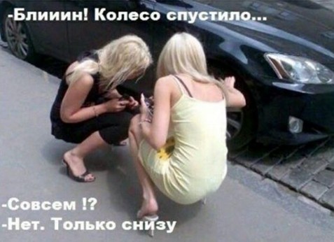 Юмор для всех