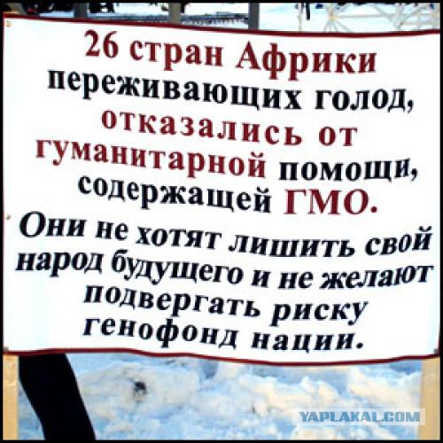 7 мифов о ГМО глазами умных людей