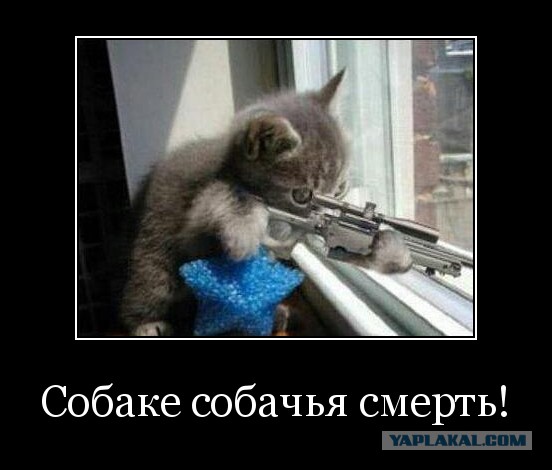 В Киеве убит бывший депутат Госдумы Денис Вороненков