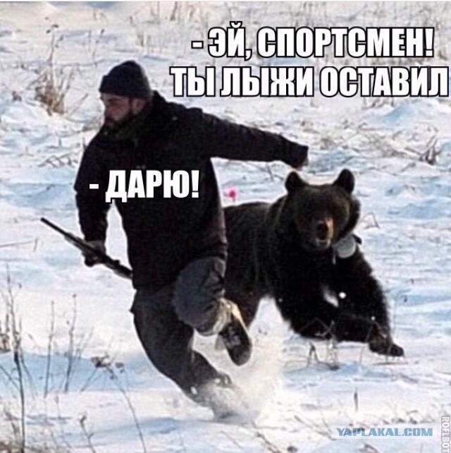 Картинки. Тупые. Очень. 18+ продолжение продолжения.