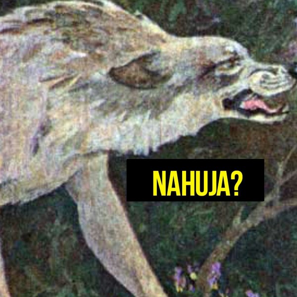 Деградация на ЯПе