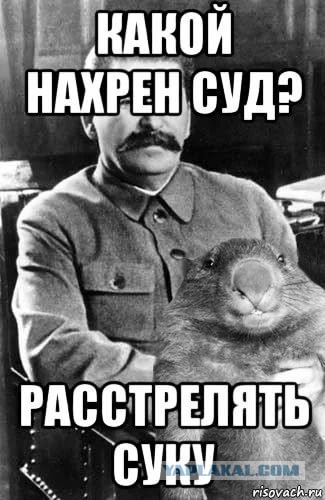 Яжемать, а ты нищее звено!