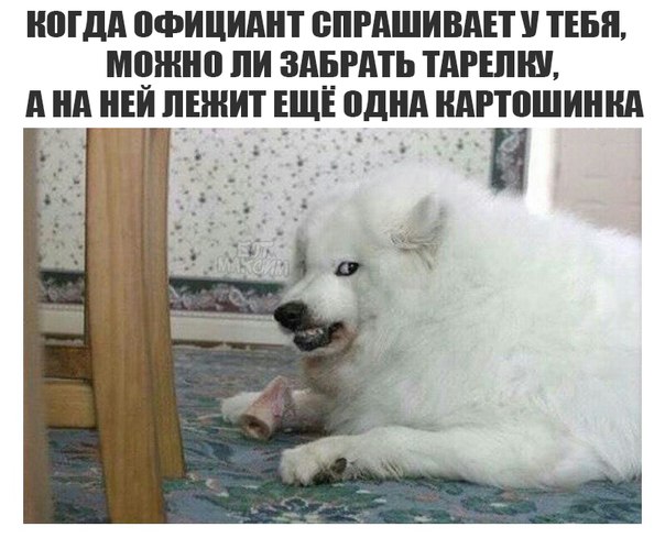 Подборка школьного юмора на любителя