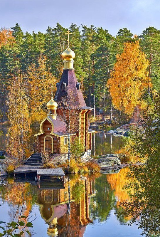 Подборка разного из сети