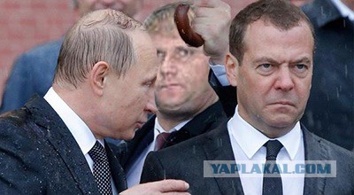Под дождём
