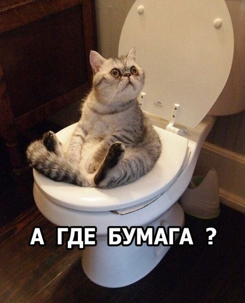 Баянистая годнота - 2