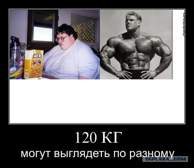 Чем больше у мужчины живот, тем лучше из него любовник!