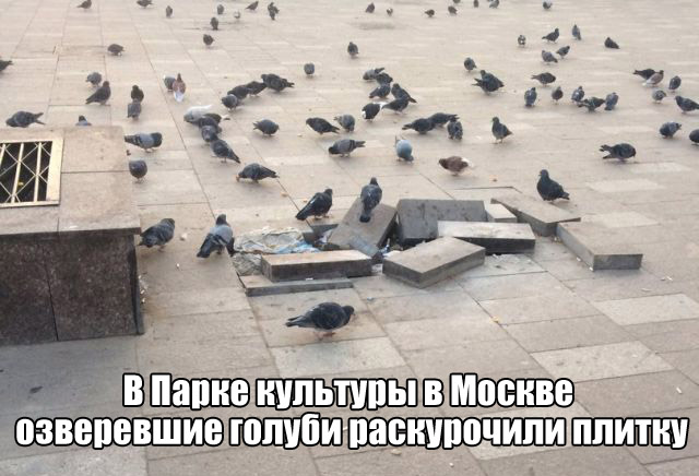 Подборка интересных и веселых картинок