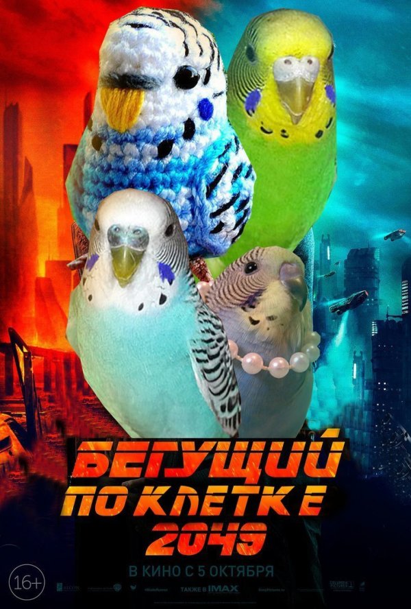 Приколы в стиле "регресс"