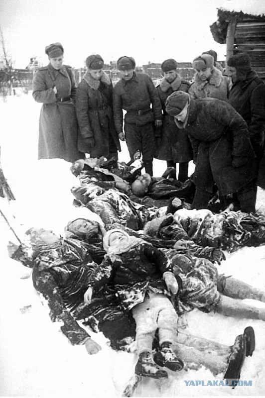 Обращение в Генеральную прокуратуру, ФСБ, Администрацию президента. Реабилитация нацизма в Н.Уренгое