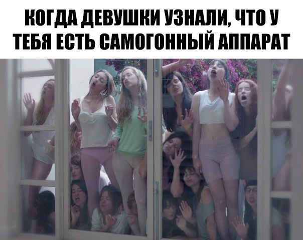 Подборка забавных, занятных, порой курьезных фотографий из Сети.
