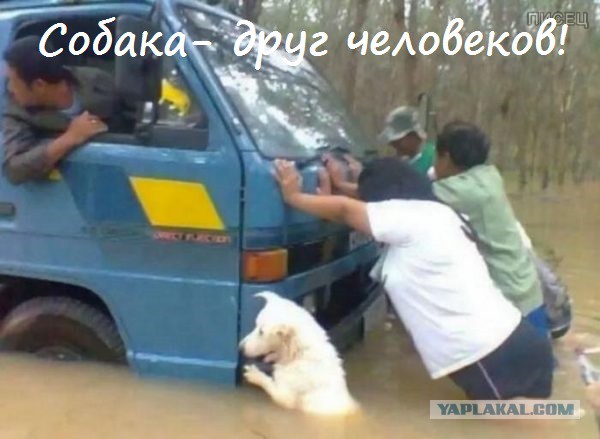 Снимки, вызывающие эмоции