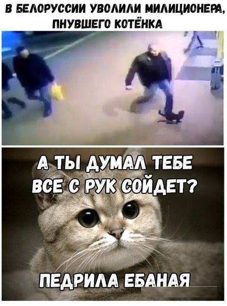 Суета суетой, а картинкам время уделять надо!