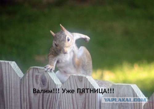 Подборка интересных и веселых картинок