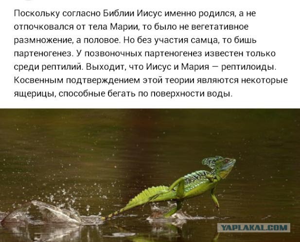 Немного картинок в эту среду